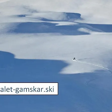 アパートホテル Gamskar